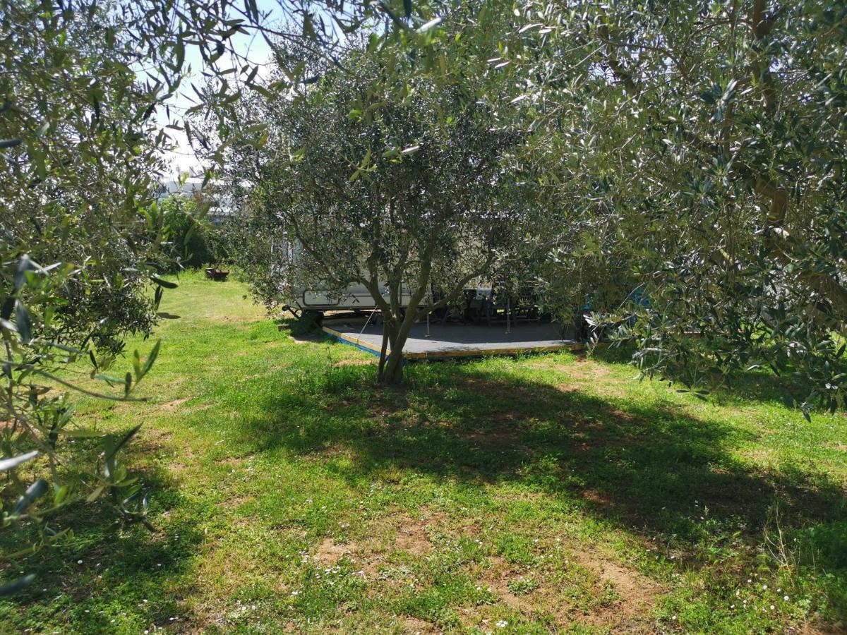 Hotel Large Camper In The Olive Grove Banjole Exteriér fotografie